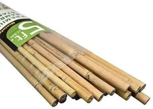 5' Bamboo Stakes (150cm) - Pack of 25