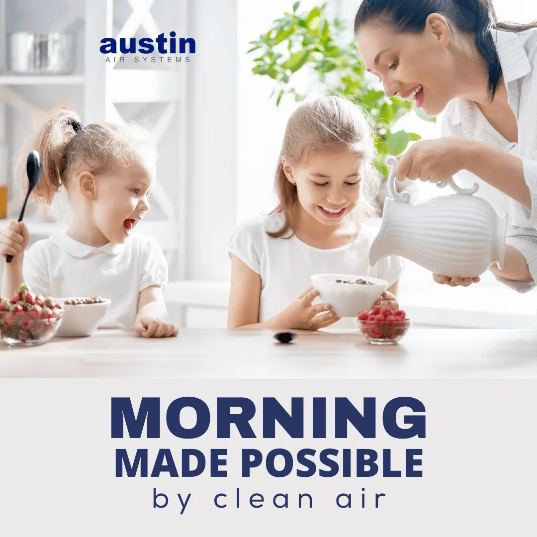 Austin Air Systems Bedroom Machine