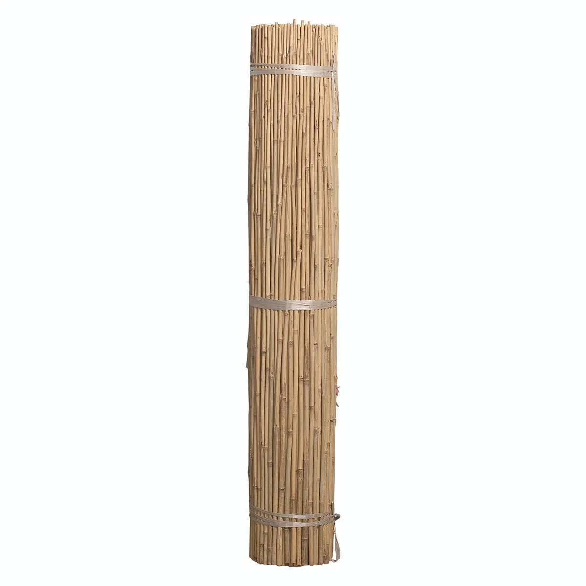 Bamboo Stakes