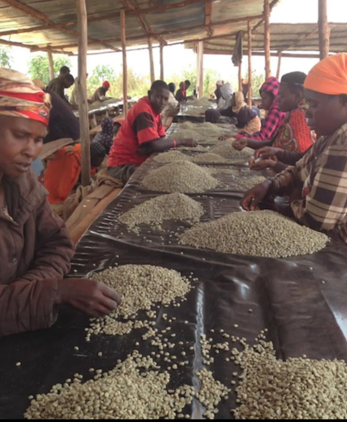 Burundi Ngogomo      Filter