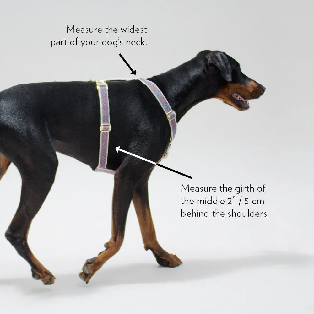 Chef L' Bark Harness - Cream from By Scout