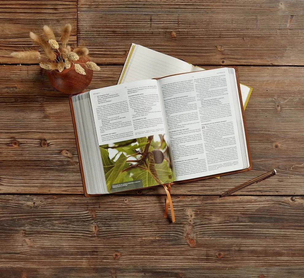CSB Holy Land Illustrated Bible--soft leather-look, British tan