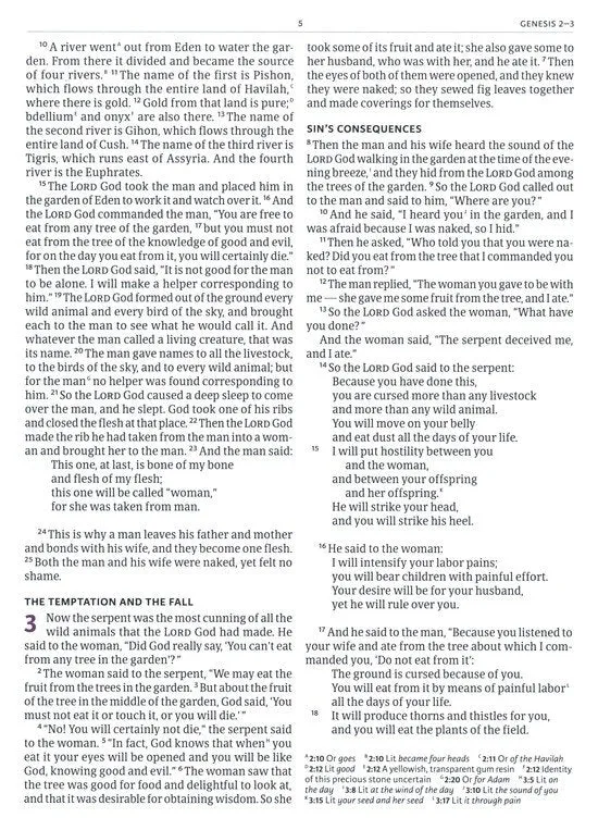 CSB Holy Land Illustrated Bible--soft leather-look, British tan