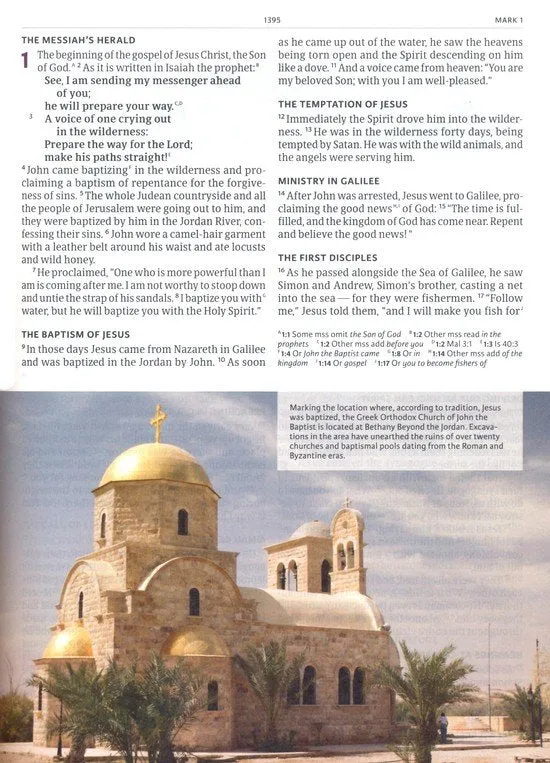 CSB Holy Land Illustrated Bible--soft leather-look, British tan
