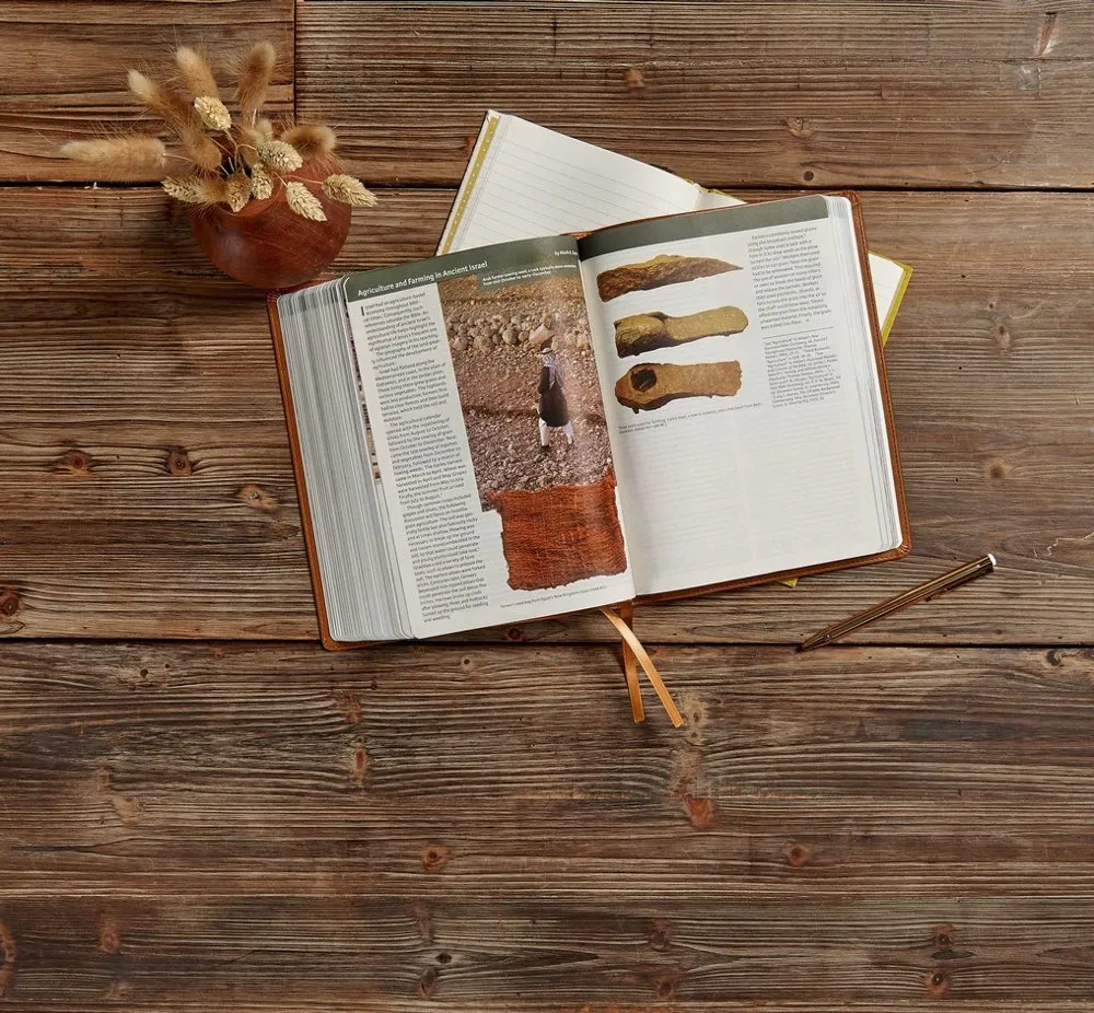 CSB Holy Land Illustrated Bible--soft leather-look, British tan
