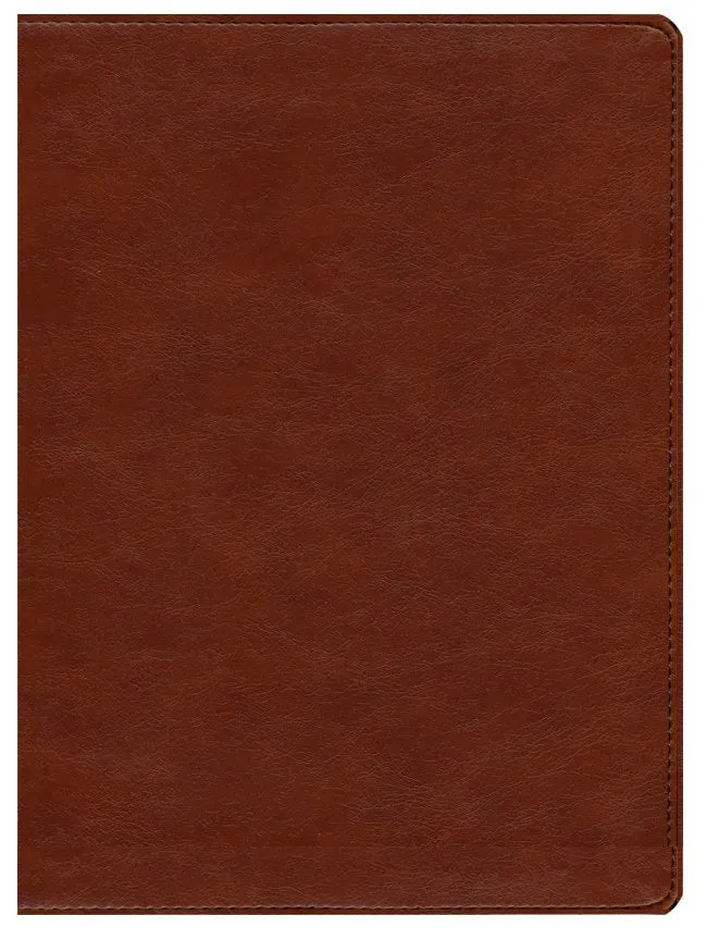 CSB Holy Land Illustrated Bible--soft leather-look, British tan