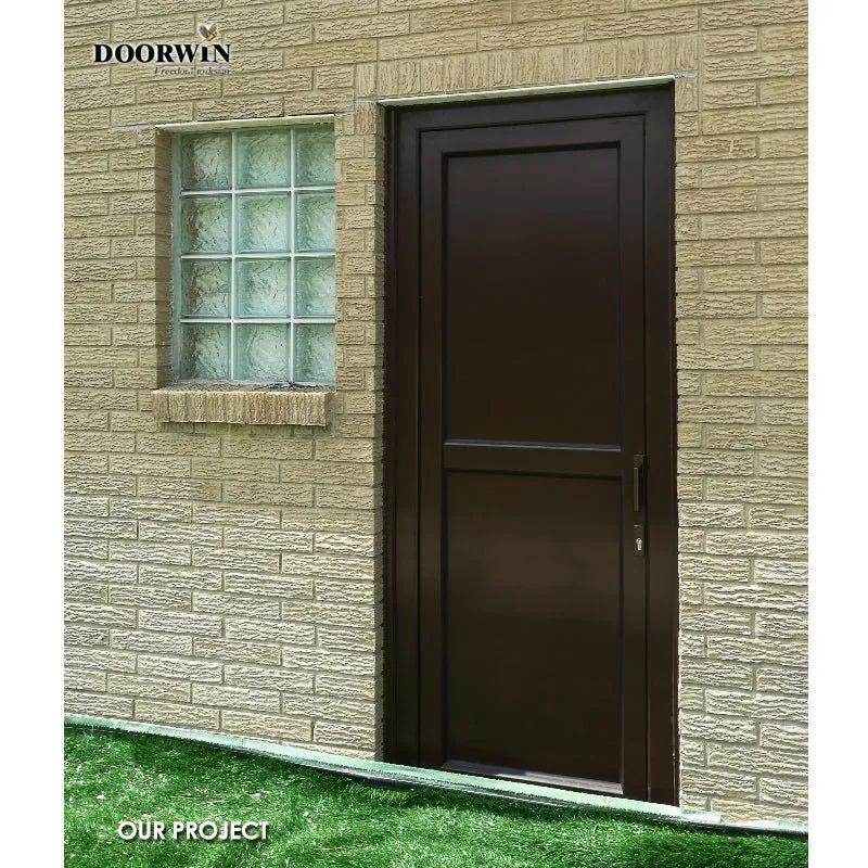 Doorwin modern solid wood 32 x 79 exterior door