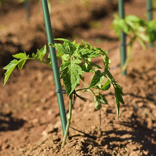 Grow1® Steel Garden Stakes, Plant Supports, Green, 7/16", 5ft. (20 Stakes)