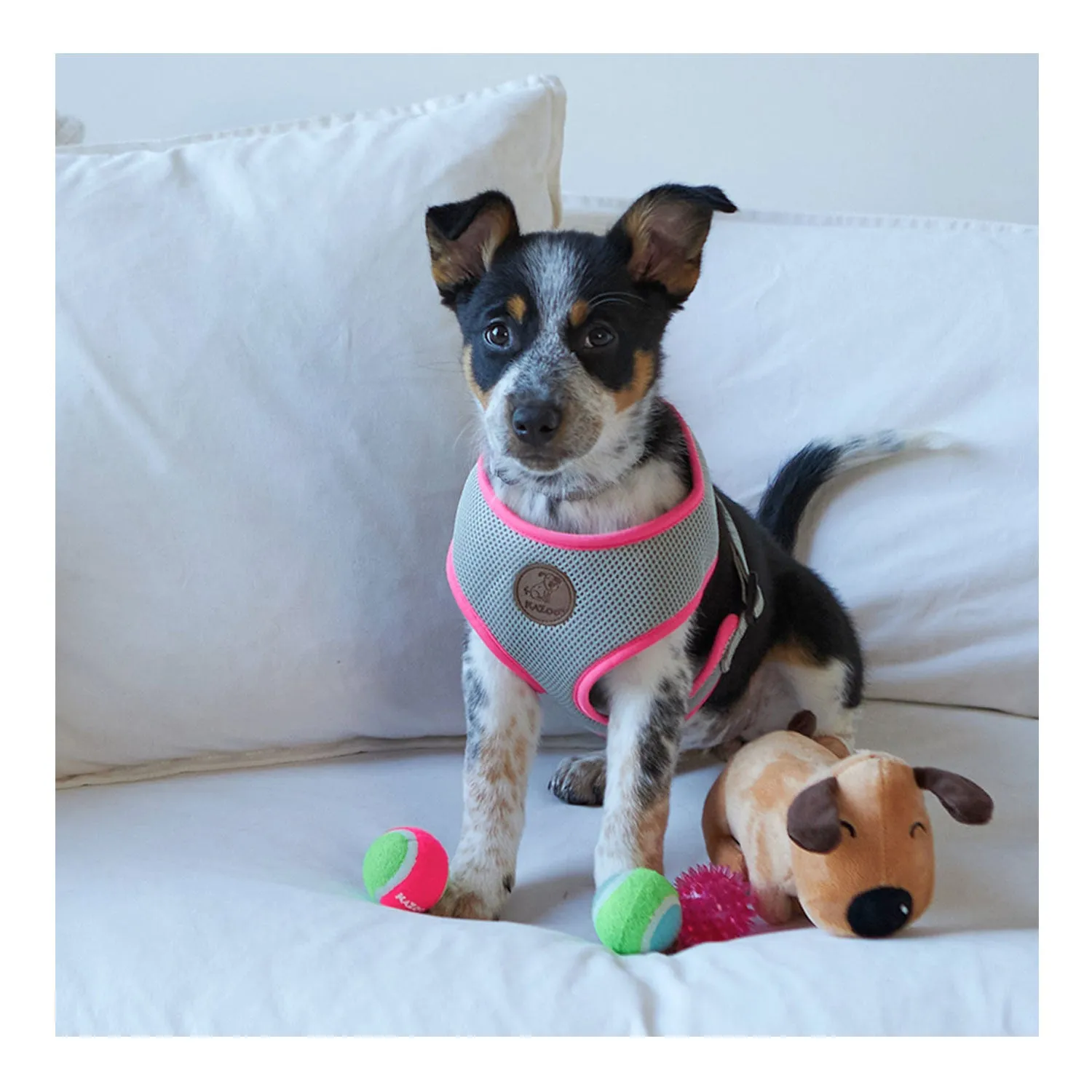 Kazoo Active Soft Walking Dog Harness Silver & Pink