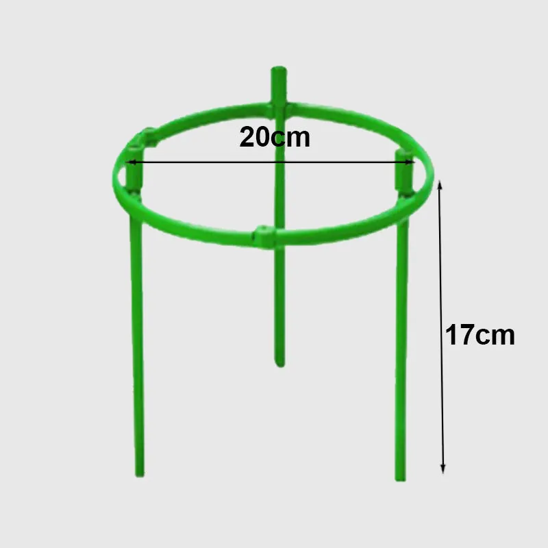 Removable plant stand support stakes for plants and flowers and fruits