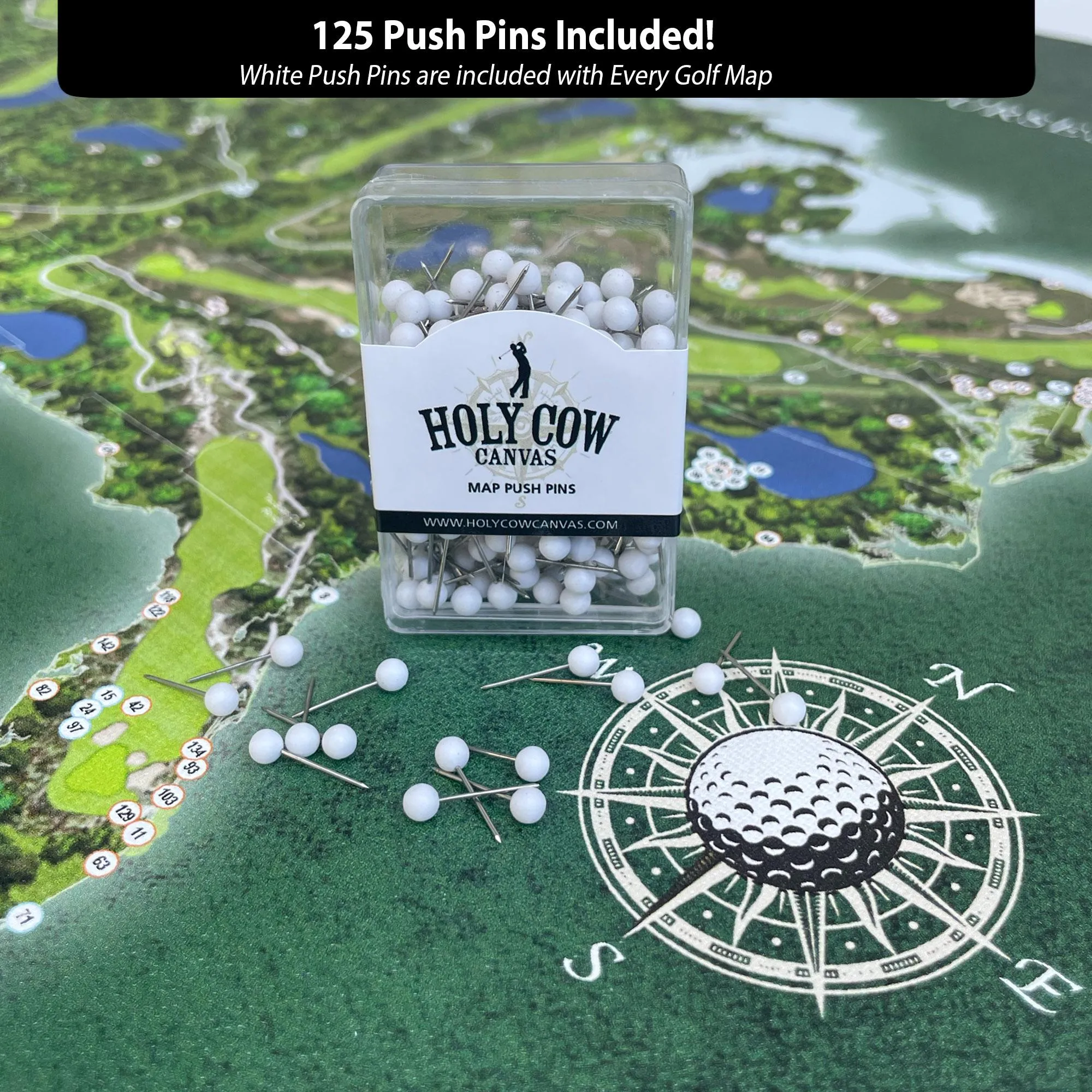 Top 250 Golf Courses in the USA Push Pin Map